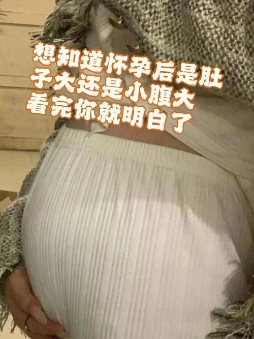 魟魚懷孕肚子圖片|關于魟魚懷孕的問題