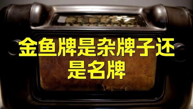 金魚(yú)是雜牌還是名牌|《金魚(yú)是雜牌還是名牌》