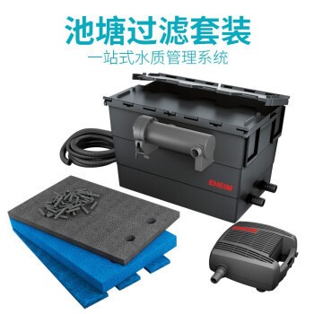 魚趴缸是什么樣子的？解析魚類異常行為的原因與應對方法，魚趴缸現象解析，原因探究與應對策略