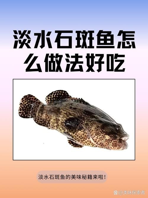 淡水石斑魚(yú)圖片，淡水石斑魚(yú)