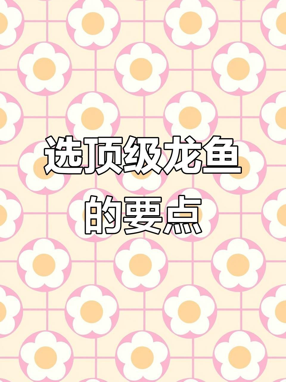 如何辨別龍魚的品相？|如何挑選一條好的龍魚