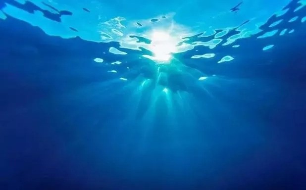 重慶哪里有賣龍魚的市場啊視頻播放：探秘重慶龍魚市場，觀賞魚愛好者的天堂