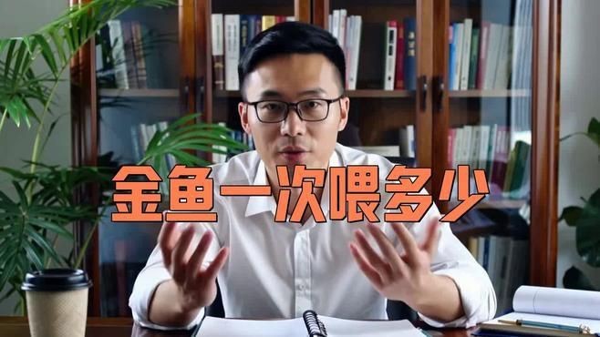 如何為金魚提供最佳營養(yǎng)|如何為金魚提供最佳營養(yǎng)這一關鍵問題
