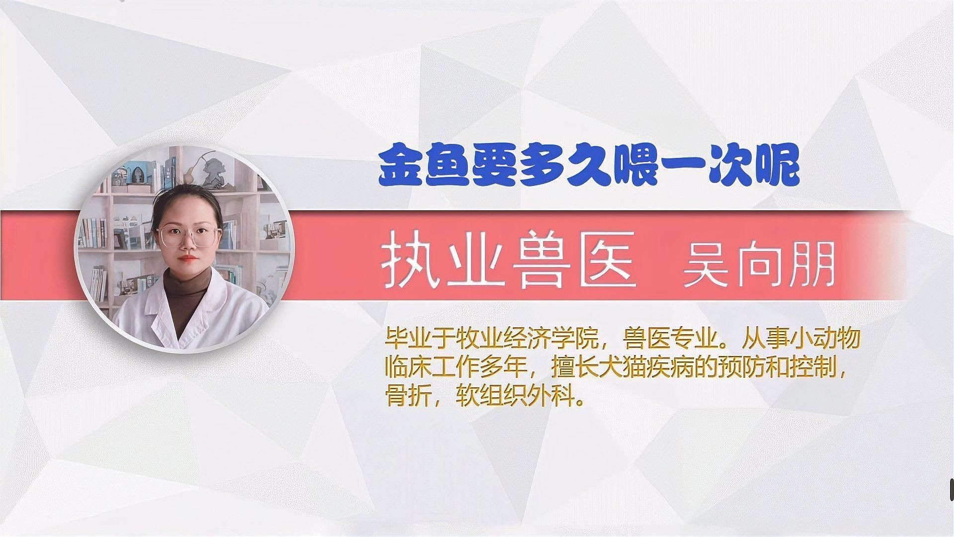 如何為金魚提供最佳營養(yǎng)|如何為金魚提供最佳營養(yǎng)這一關鍵問題