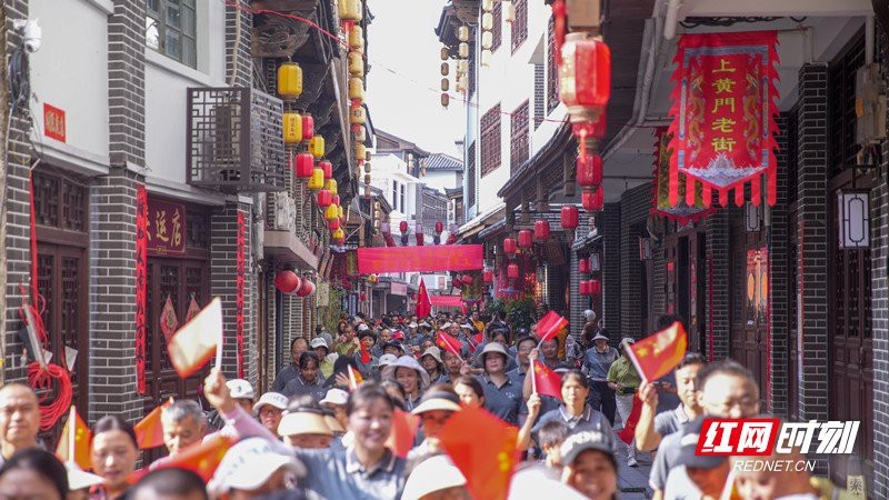 汝城龍魚店|廣州汝城龍魚店