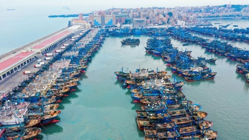 泉州魚缸維護【泉州魚缸維護全攻略,在海上絲綢之路起點】
