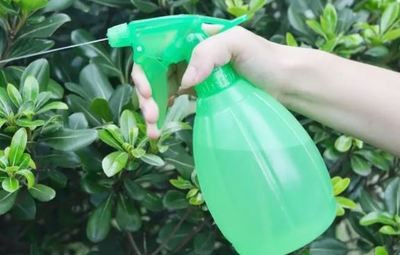 魚(yú)缸貼字畫(huà)圖片大全大圖 魚(yú)缸貼紙對(duì)魚(yú)好不好