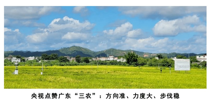 龍魚的鑒賞標準有哪些要求，龍魚的鑒賞標準