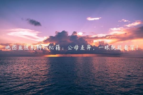 森森魚(yú)缸換水水泵 森森魚(yú)缸水泵水流怎么調(diào)
