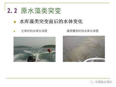 龍魚用什么燈照比較好看呢（ 龍魚用什么燈照比較好看呢）