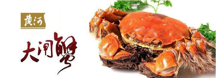 齊河龍魚店|齊河龍魚店是一家備受青睞的特色餐飲店鋪主打酸湯龍魚面等美食