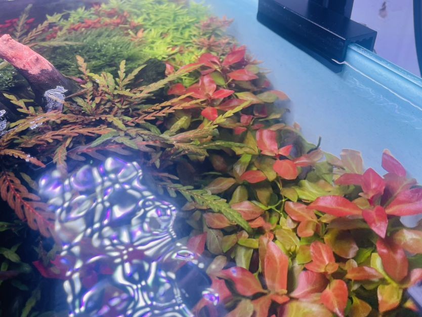 森森魚缸保修政策（森森魚缸質保）