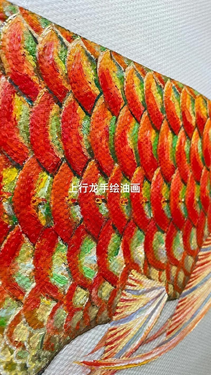 能否提供更多關(guān)于紅龍鱗框的圖解？|“紅龍鱗框”詳細(xì)圖解，小白也能一眼區(qū)分紅龍魚及其品種