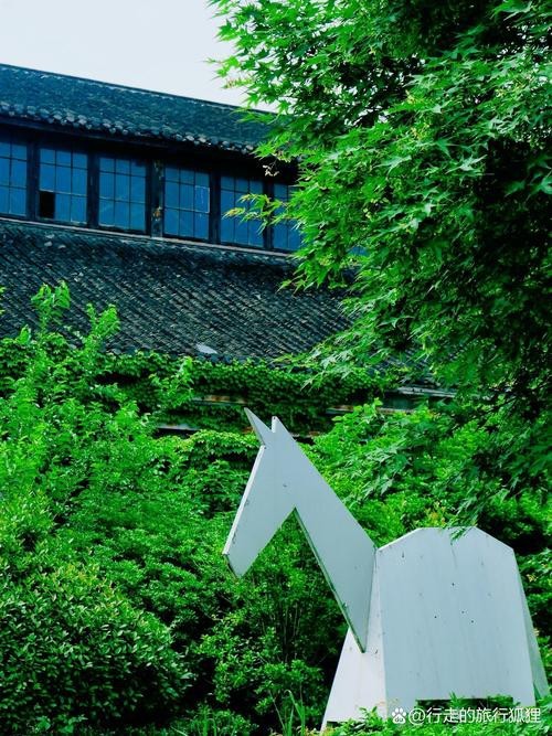能否提供更多關(guān)于紅龍鱗框的圖解？|“紅龍鱗框”詳細(xì)圖解，小白也能一眼區(qū)分紅龍魚及其品種