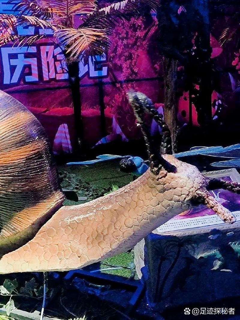 浉河水族店|信陽浉河區(qū)有哪些水族店