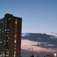金塵雷龍是什么|金塵雷龍的飼養(yǎng)方法