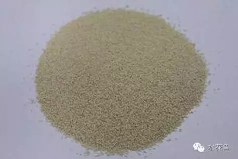 最大的雷龍魚是哪一種魚啊圖片：探尋最大的雷龍魚，神秘巨獸的奧秘