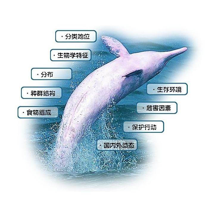 動物界十二門|「動物界全系列」 動物界十二門|「動物界全系列」 龍魚論壇 第3張