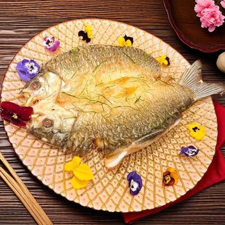 皇帝魚圖片|“皇帝魚圖片”是一段關于“皇帝魚圖片”的摘要：