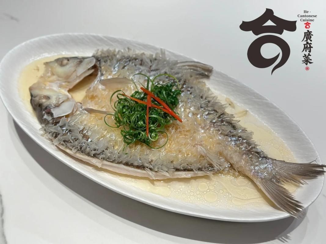 皇帝魚圖片|“皇帝魚圖片”是一段關于“皇帝魚圖片”的摘要：