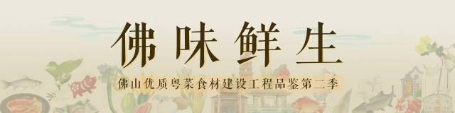有哪些著名的橘紅龍魚個體，橘紅龍魚的個體特點