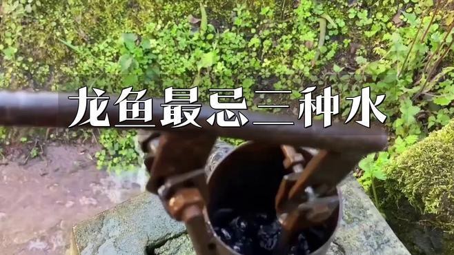 雷龍魚最忌三種水|《雷龍魚最忌三種水》