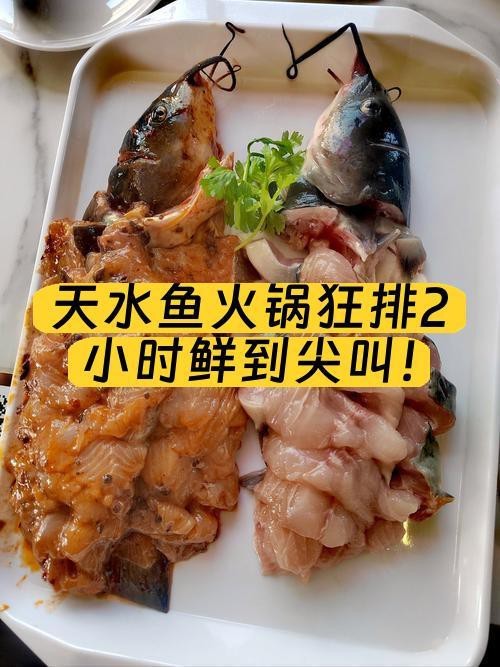麥積龍魚店|探尋天水魚火鍋的極致鮮味