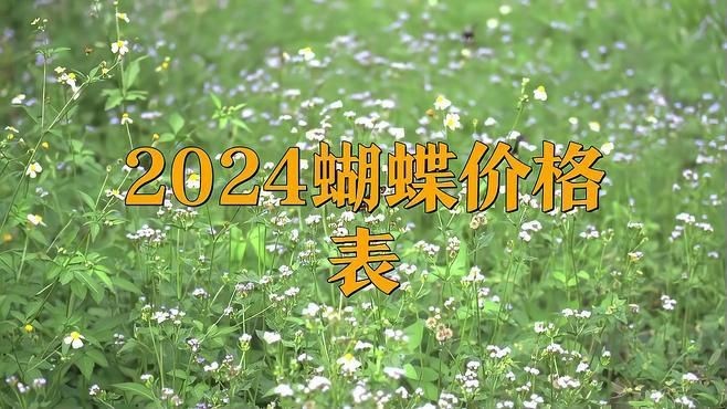 蝴蝶標本2024年價格表|2018蝴蝶標本2024年價格表
