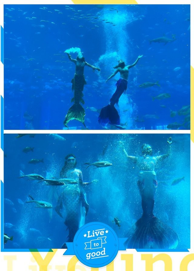 海南水族店|三亞亞特蘭蒂斯失落的空間水族館