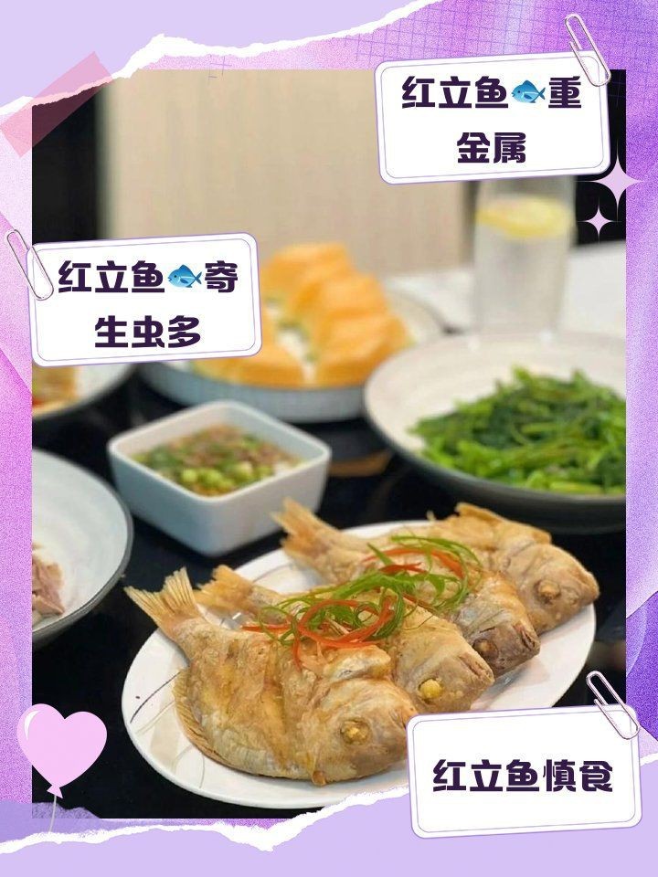紅立魚為何不能隨便吃|紅立魚的食用風險 紅立魚為何不能隨便吃|紅立魚的食用風險 龍魚論壇 第1張