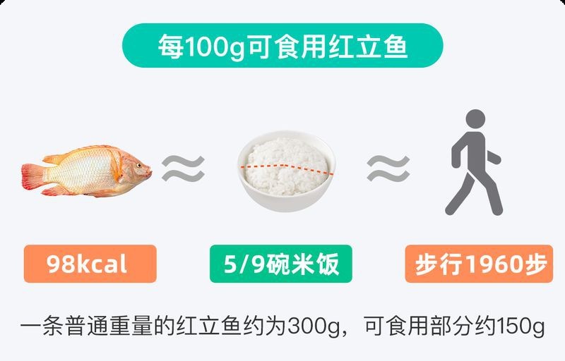 紅立魚為何不能隨便吃|紅立魚的食用風險 紅立魚為何不能隨便吃|紅立魚的食用風險 龍魚論壇 第20張