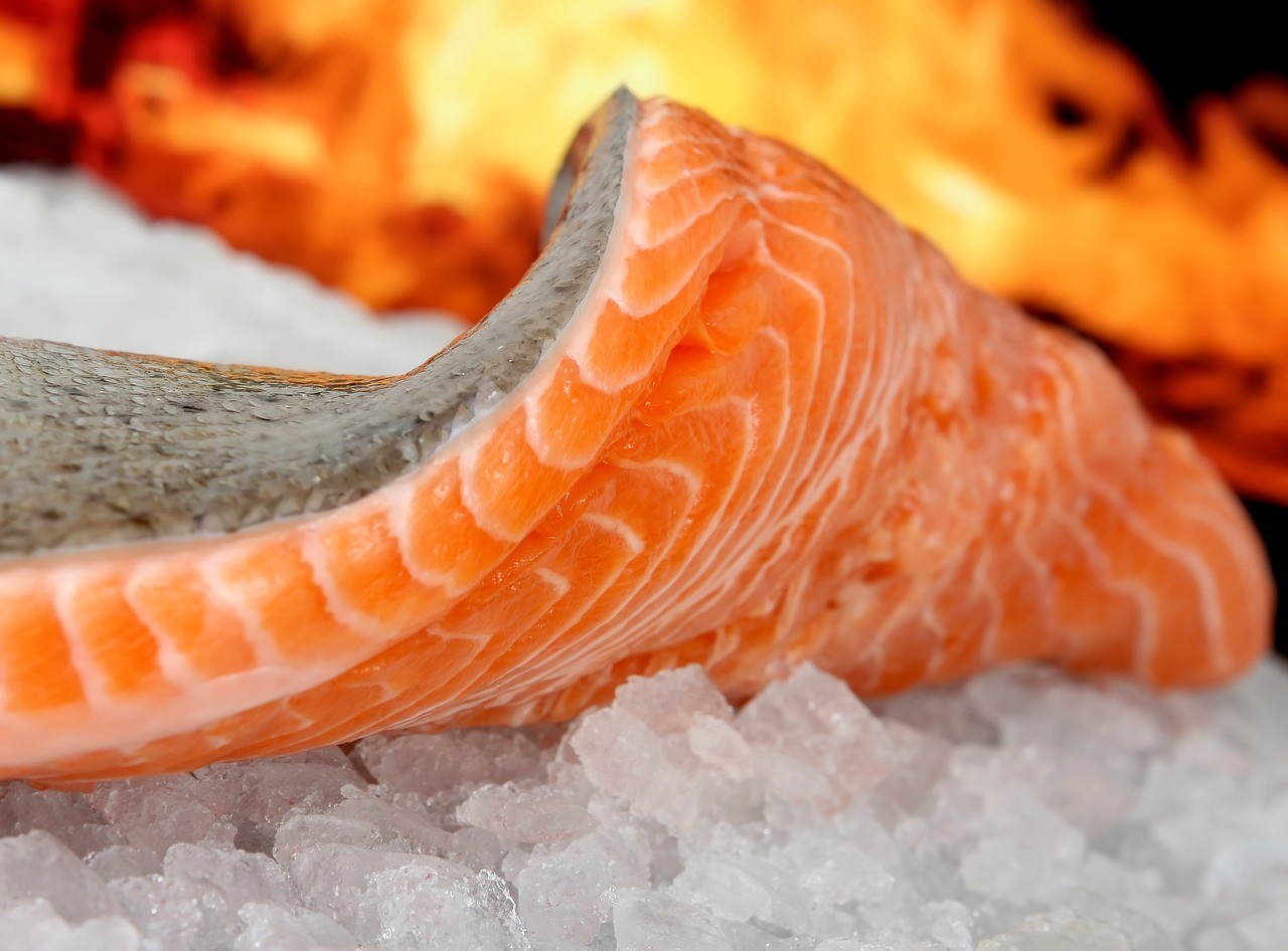 龍魚撞缸要警惕四種病|養殖龍魚的注意事項
