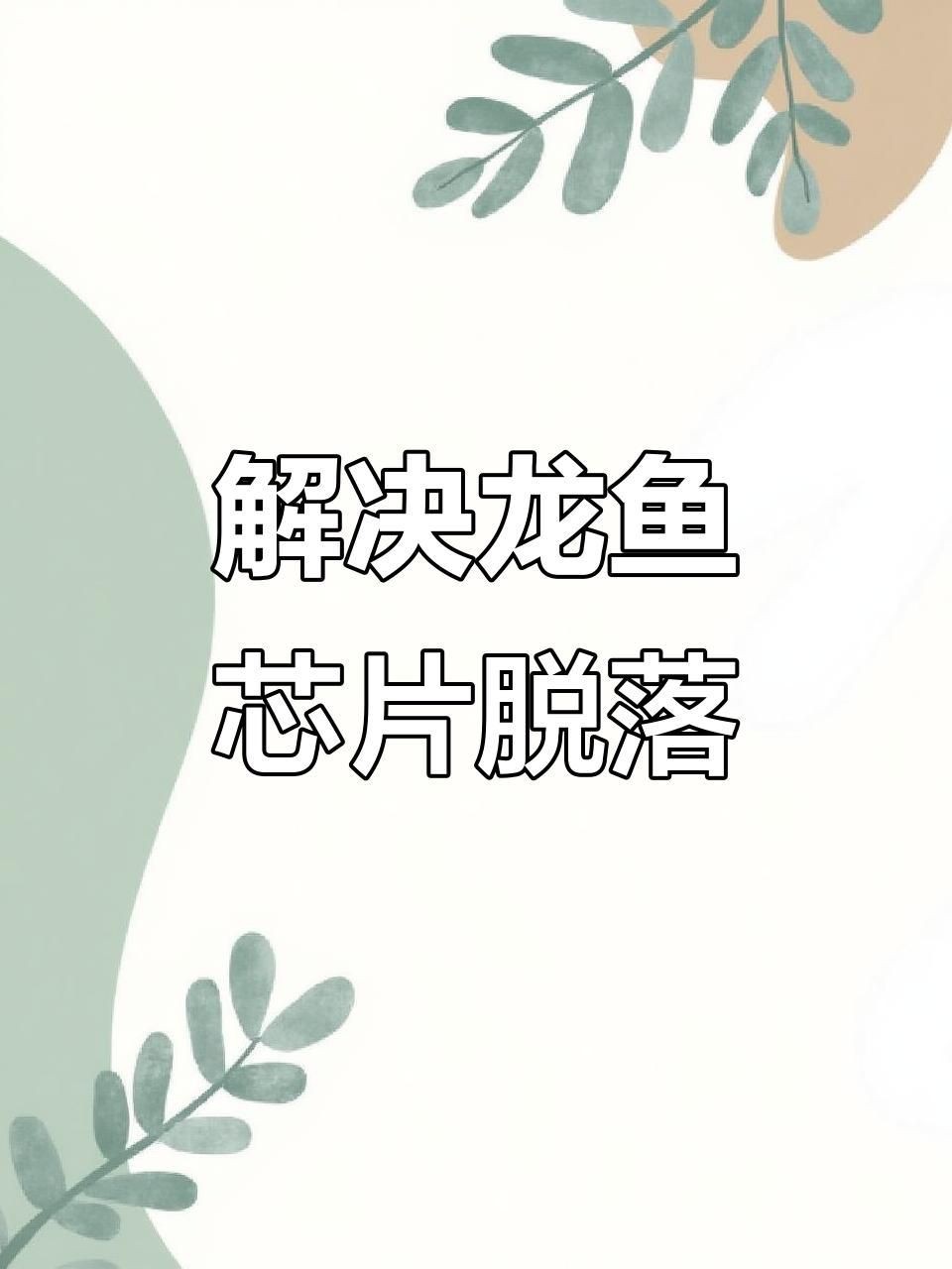龍魚芯片|龍魚芯片揭秘