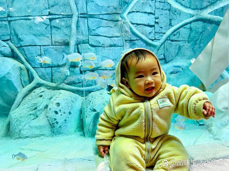 長沙縣水族店|長沙縣擁有頗具特色的水族店如星沙飛蘭魚鳥楊仕水族店