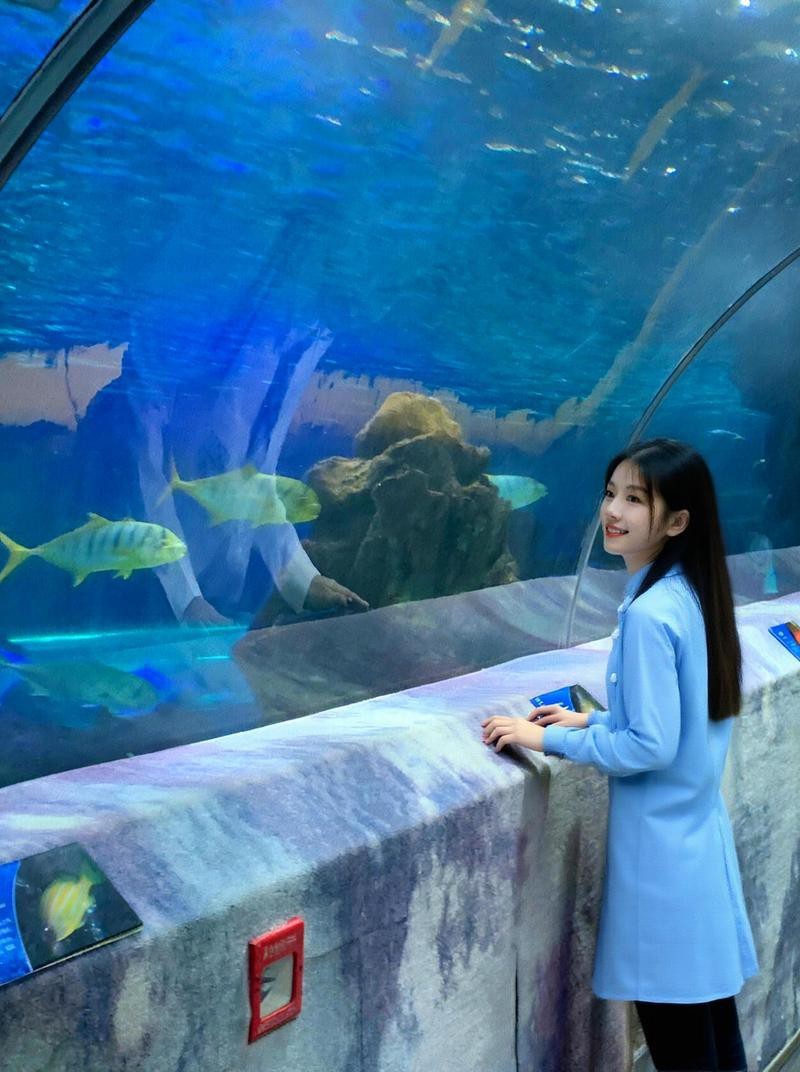 長沙縣水族店|長沙縣擁有頗具特色的水族店如星沙飛蘭魚鳥楊仕水族店