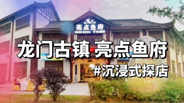 高坪龍魚店|南信水族龍魚貿易高坪龍魚店有哪些特色魚店鱸魚工廠