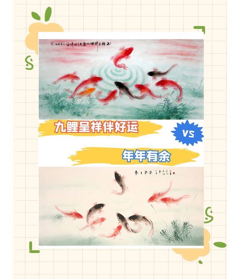 錦鯉二選和三選哪個好|《錦鯉二選和三選哪個好》