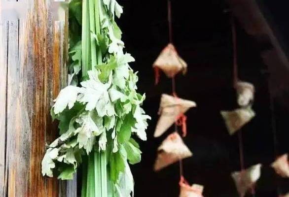 為什么釣鯽魚主線不能太大選幾號魚鉤合適