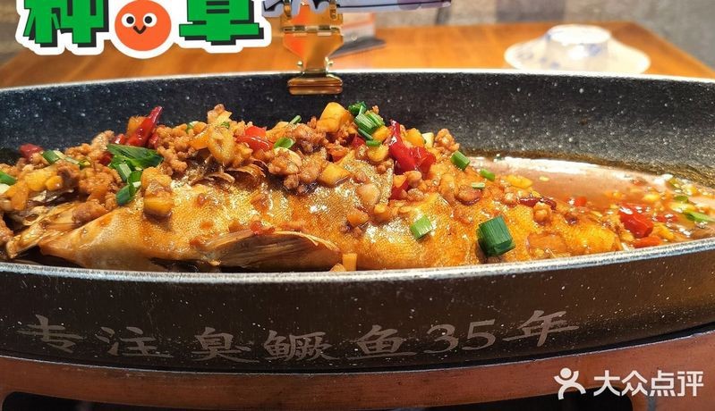 黃山龍魚店|徽州美食之旅:黃山龍魚店收獲滿滿的味蕾驚喜每天都在打天打鴨 黃山龍魚店|徽州美食之旅:黃山龍魚店收獲滿滿的味蕾驚喜每天都在打天打鴨 全國水族館企業名錄 第2張