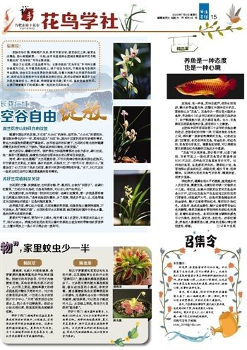 黃山龍魚店|徽州美食之旅:黃山龍魚店收獲滿滿的味蕾驚喜每天都在打天打鴨 黃山龍魚店|徽州美食之旅:黃山龍魚店收獲滿滿的味蕾驚喜每天都在打天打鴨 全國水族館企業名錄 第4張