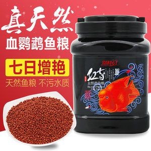 元寶鳳凰魚(yú)增色飼料效果：專(zhuān)為元寶鳳凰魚(yú)量身定制的艷寶糧，讓你的愛(ài)魚(yú)在健康上更上一層樓