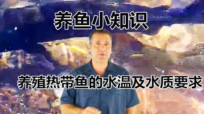 熱帶魚水溫管理常見誤區(qū)，關(guān)于熱帶魚水溫管理的一些誤區(qū)
