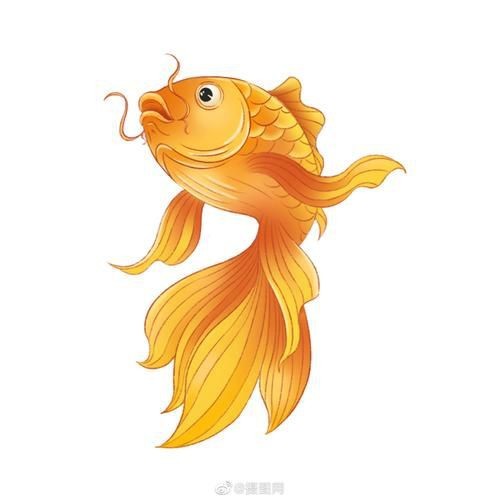 錦鯉卡通圖片可愛|《錦鯉卡通圖片可愛》