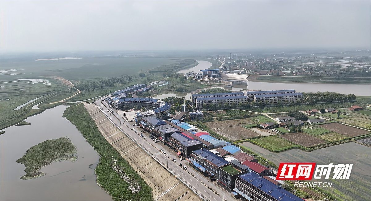 靜寧龍魚店|靜寧龍魚店具體地址在哪里靜寧龍魚店的具體地址在哪