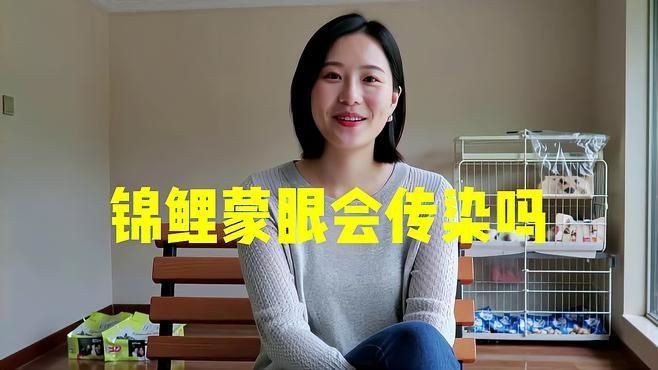 魚蒙眼病會傳染嗎？|水族箱重煥生機萌寵百科小團團教你輕松防治魚蒙眼病