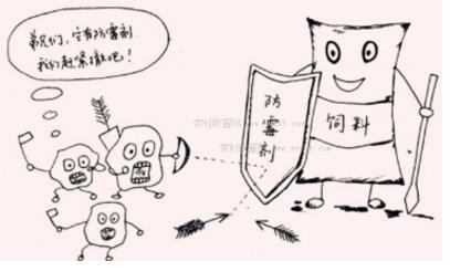 魚缸造景服務(wù)（做水族造景的怎么跑業(yè)務(wù)） 魚缸造景服務(wù)（做水族造景的怎么跑業(yè)務(wù)） 錦鯉魚百科 第3張