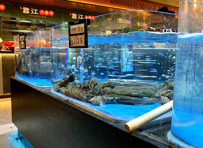 荊州龍魚店|五一暢游荊州海洋世界龍魚養殖場荊州海洋世界龍魚特展 荊州龍魚店|五一暢游荊州海洋世界龍魚養殖場荊州海洋世界龍魚特展 全國水族館企業名錄 第2張