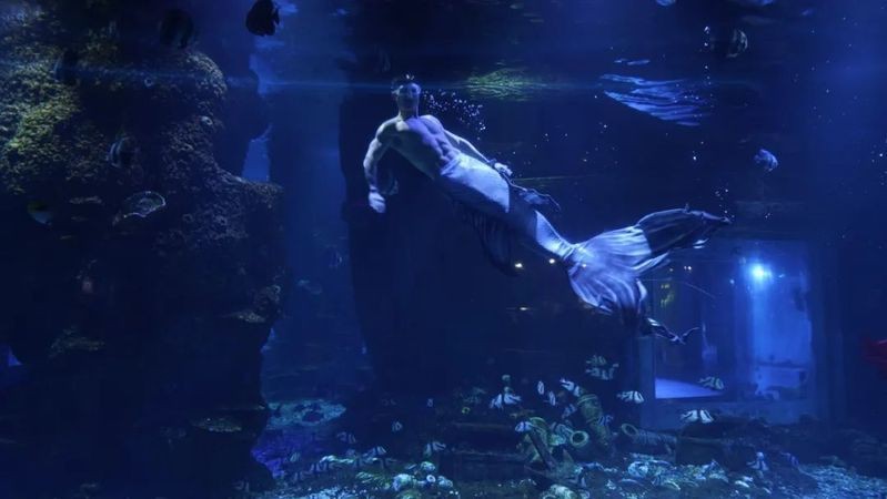 荊州龍魚店|五一暢游荊州海洋世界龍魚養殖場荊州海洋世界龍魚特展 荊州龍魚店|五一暢游荊州海洋世界龍魚養殖場荊州海洋世界龍魚特展 全國水族館企業名錄 第7張