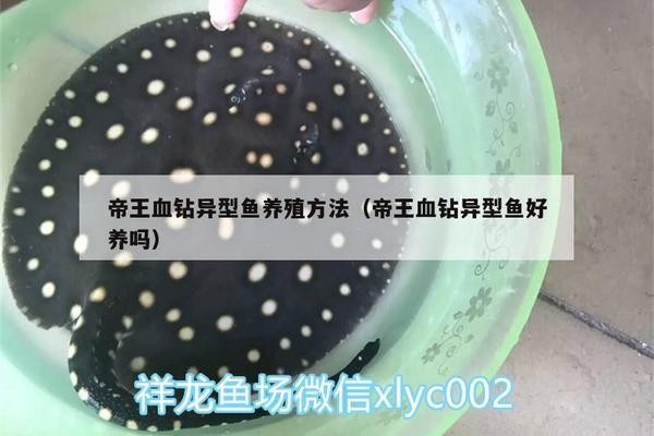 魚缸改造底濾出水口漏水怎么處理 底濾魚缸怎么改放水閥門