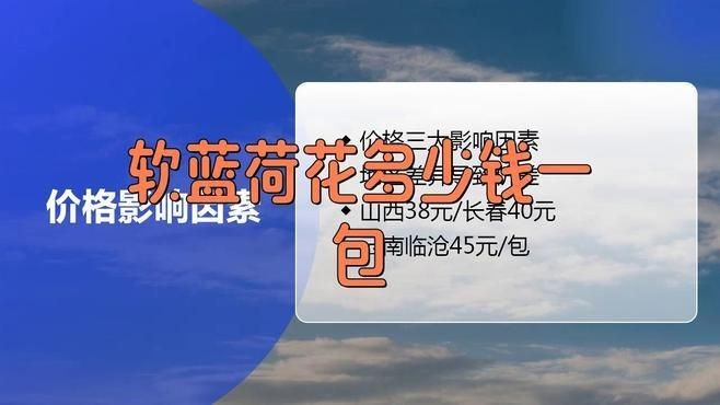 荷花煙多少錢一包|2025年8月最新市場行情分析：軟硬荷花多少錢一包